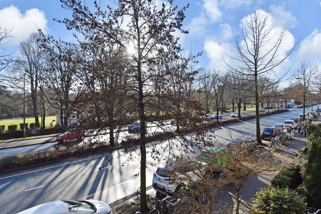 Foto 28 van Vreeswijkstraat 209