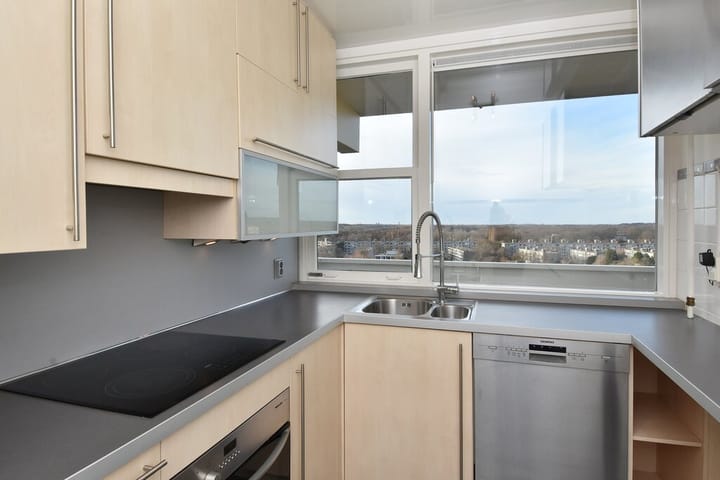 Foto 21 van Ametisthorst 325