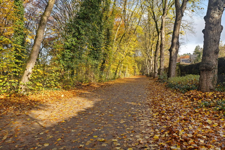 Foto 38 van Johannes Stoopweg 9