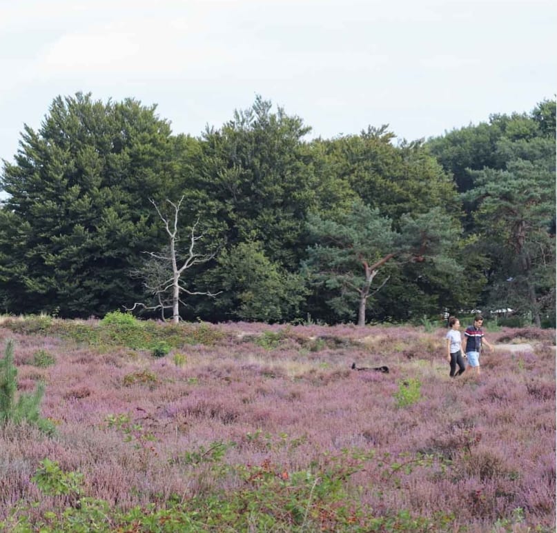 Foto 24 van Erfgooiersstraat 589