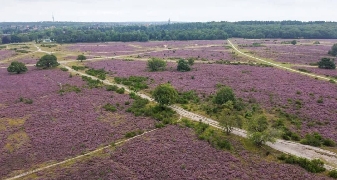 Foto 25 van Erfgooiersstraat 589