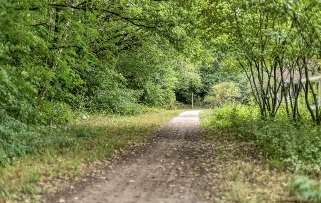 Foto 26 van Erfgooiersstraat 589