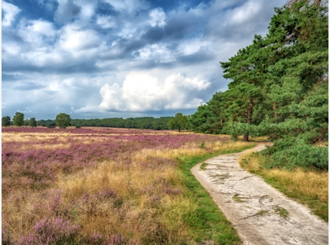 Foto 27 van Erfgooiersstraat 589