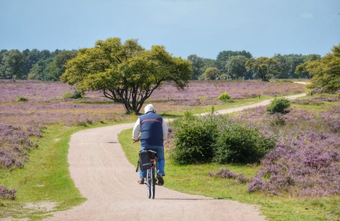 Foto 28 van Erfgooiersstraat 589