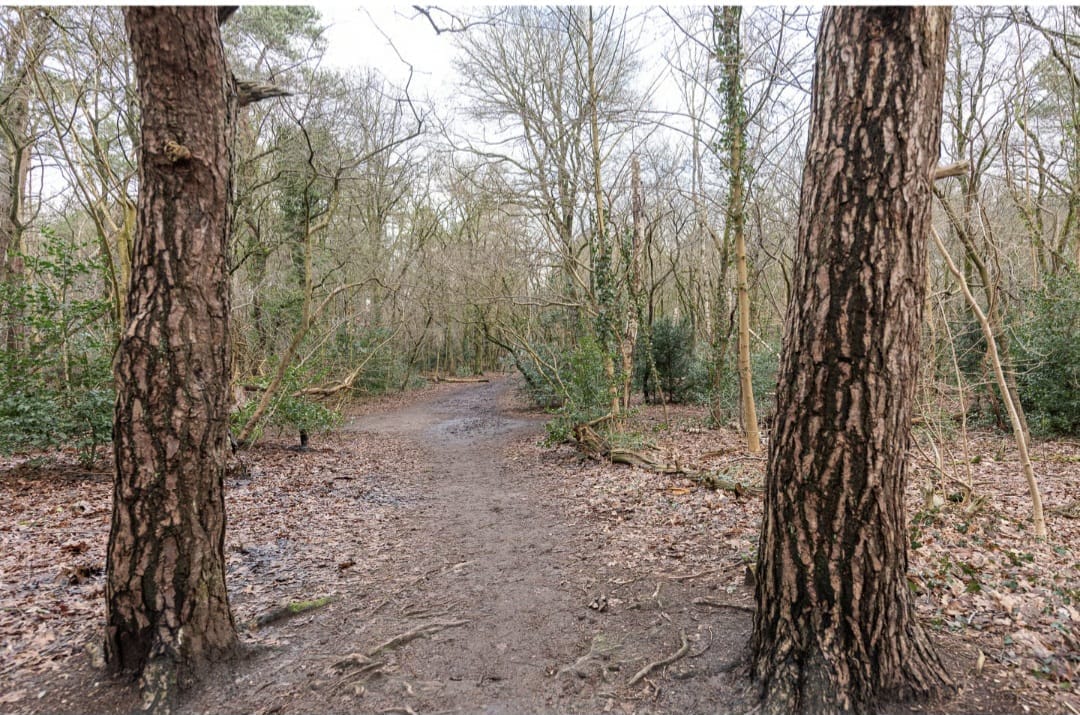 Foto 29 van Erfgooiersstraat 589