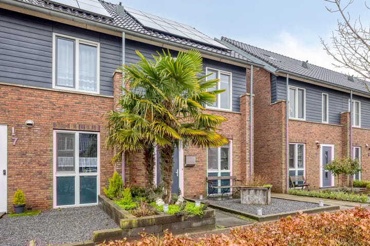 Foto 10 van De Kolper 9