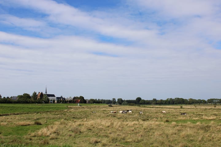 Foto 43 van De Kolper 9