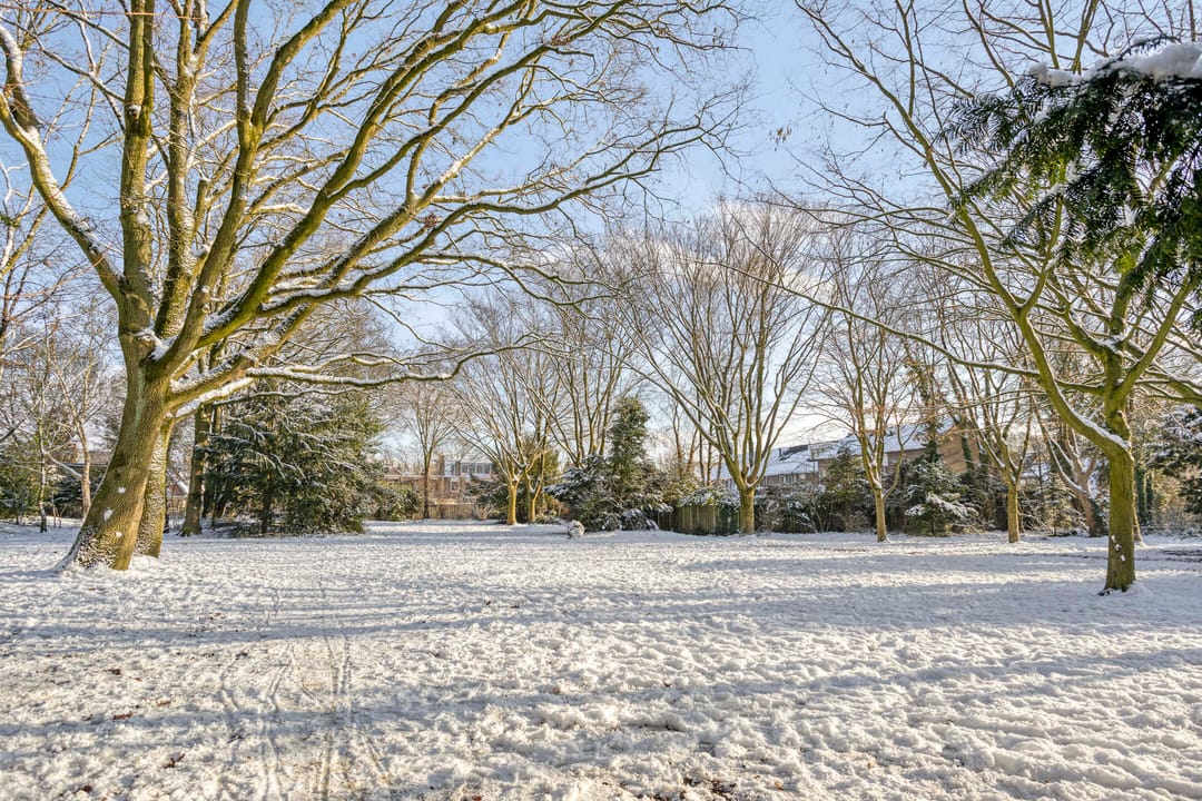 Photo 32 of Canneshof 19