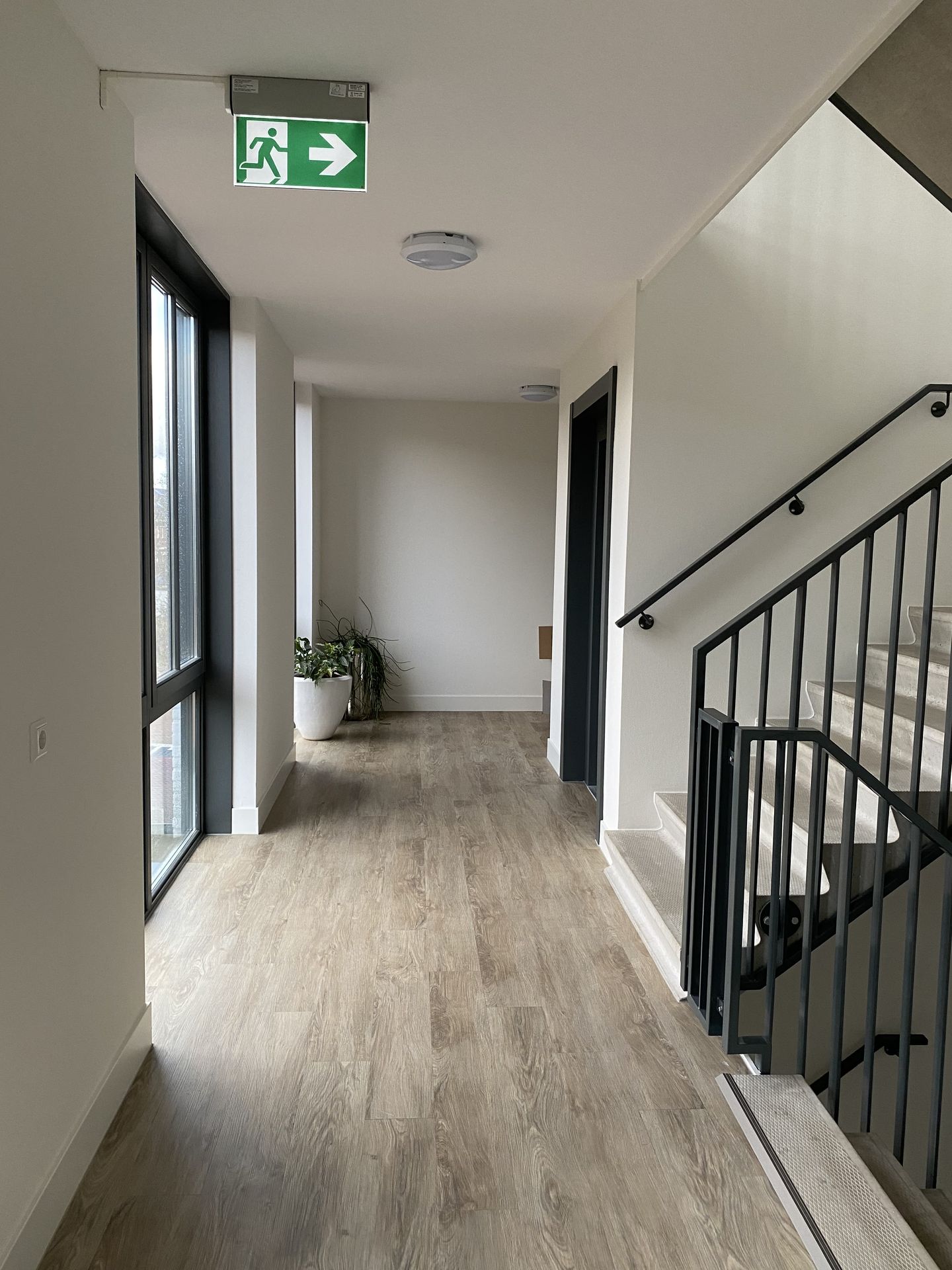 Foto 4 van Haagbeuk 45