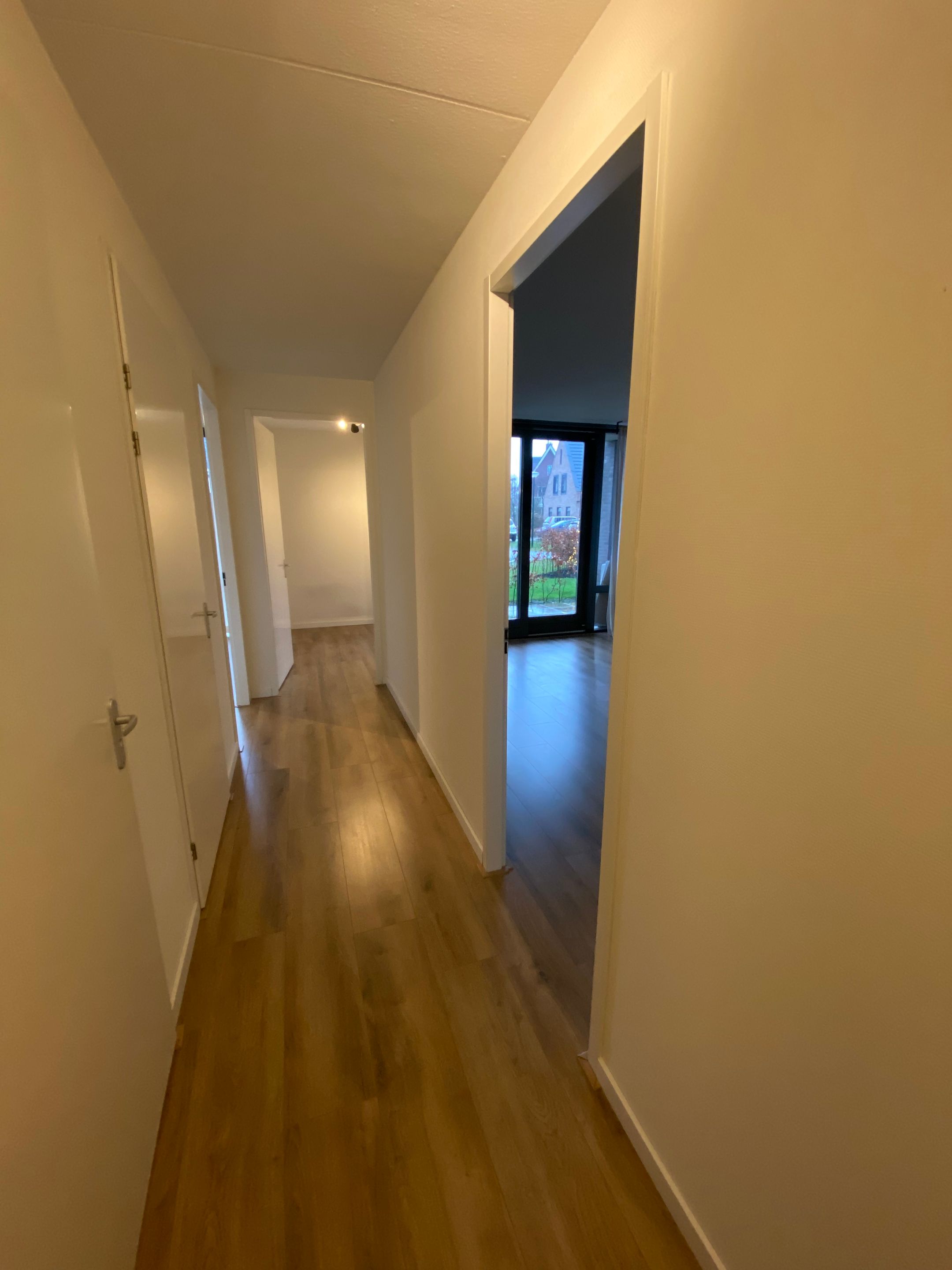 Foto 15 van Haagbeuk 45