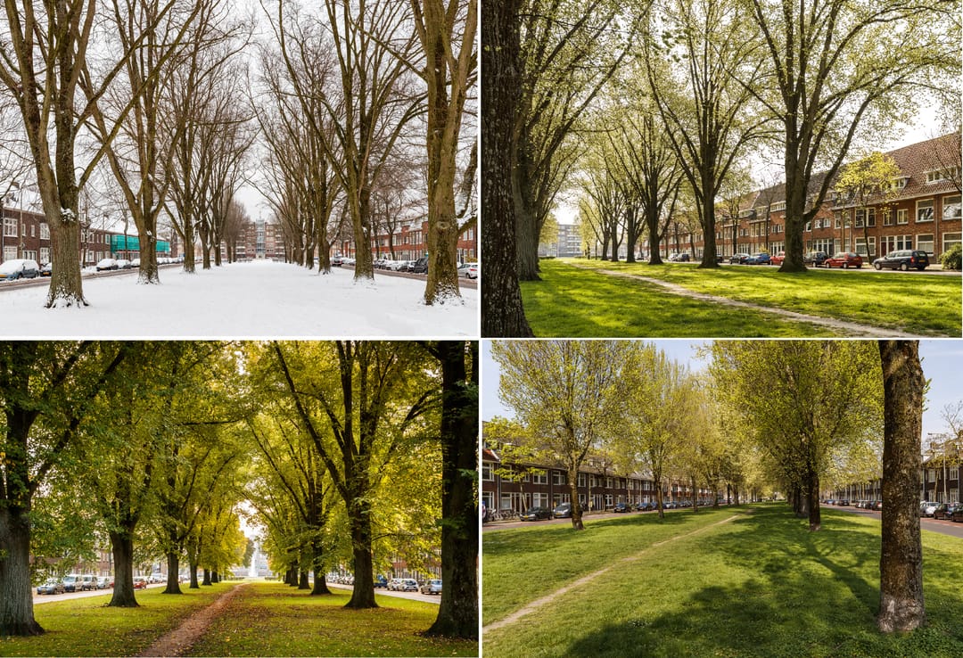 Foto 31 van Koppestokstraat 37-BS