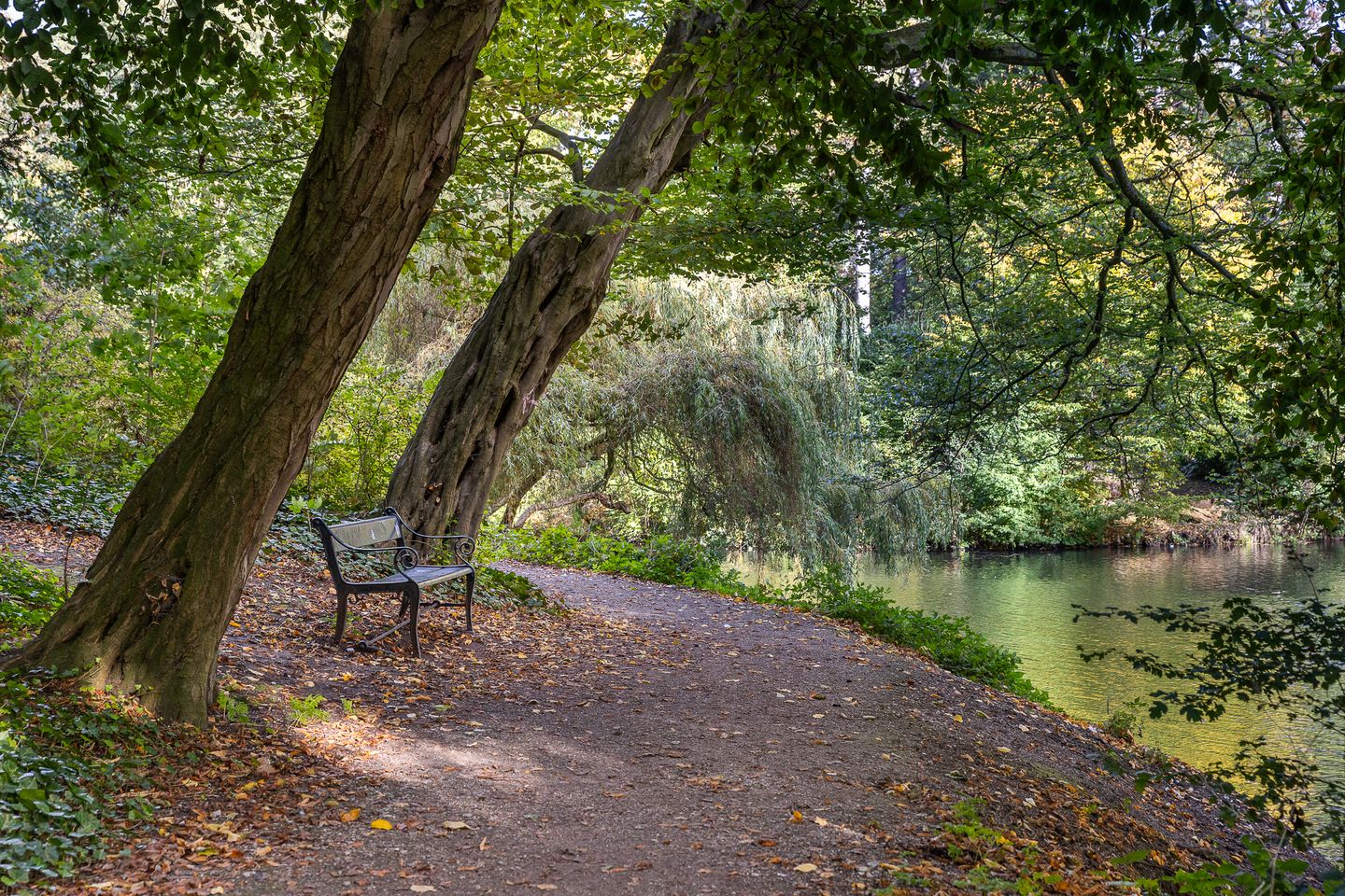 Foto 34 van Koppestokstraat 37-BS