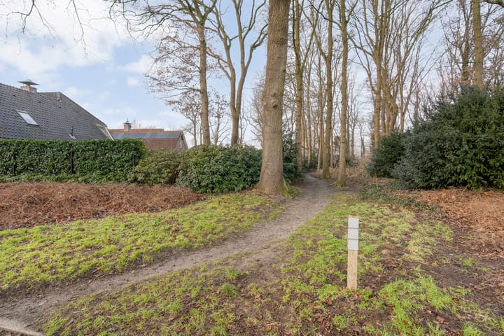 Foto 6 van Reehorst 20