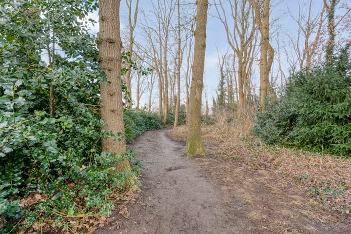 Foto 7 van Reehorst 20