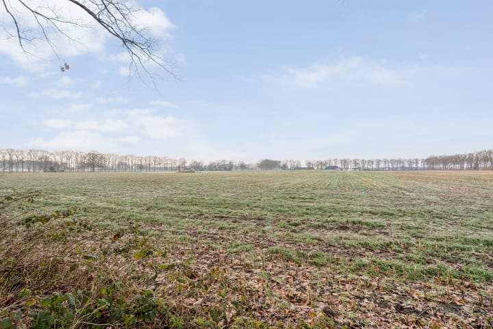 Foto 8 van Reehorst 20