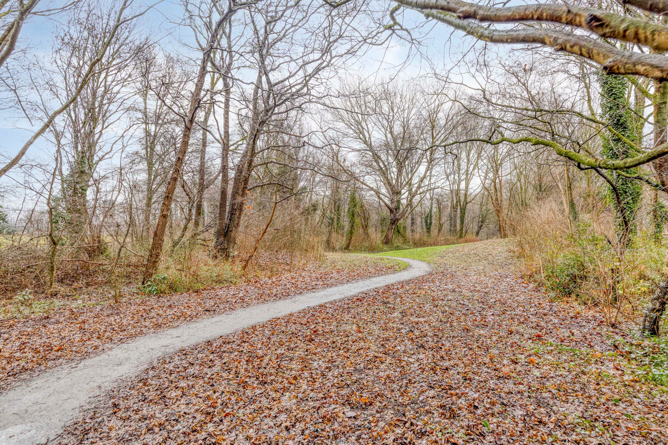 Foto 30 van Oostervenne 425