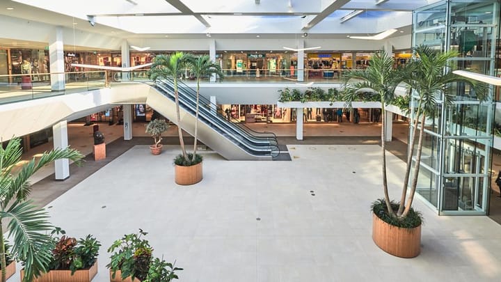 Foto 12 van Bisonspoor 2218