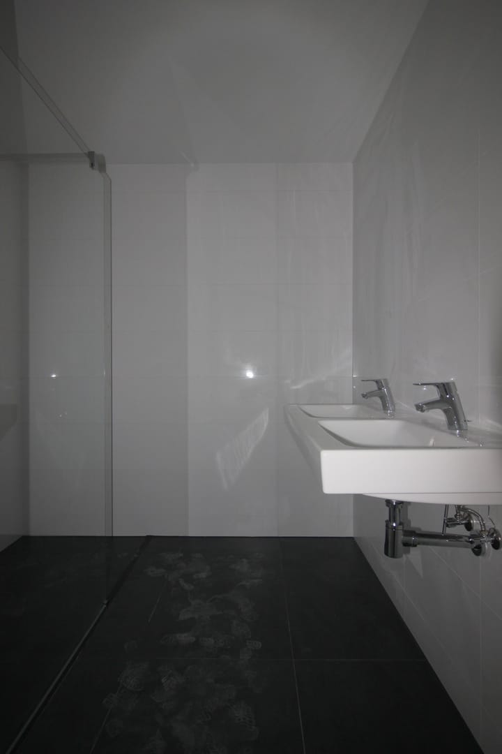 Foto 9 van Bisonspoor 2218