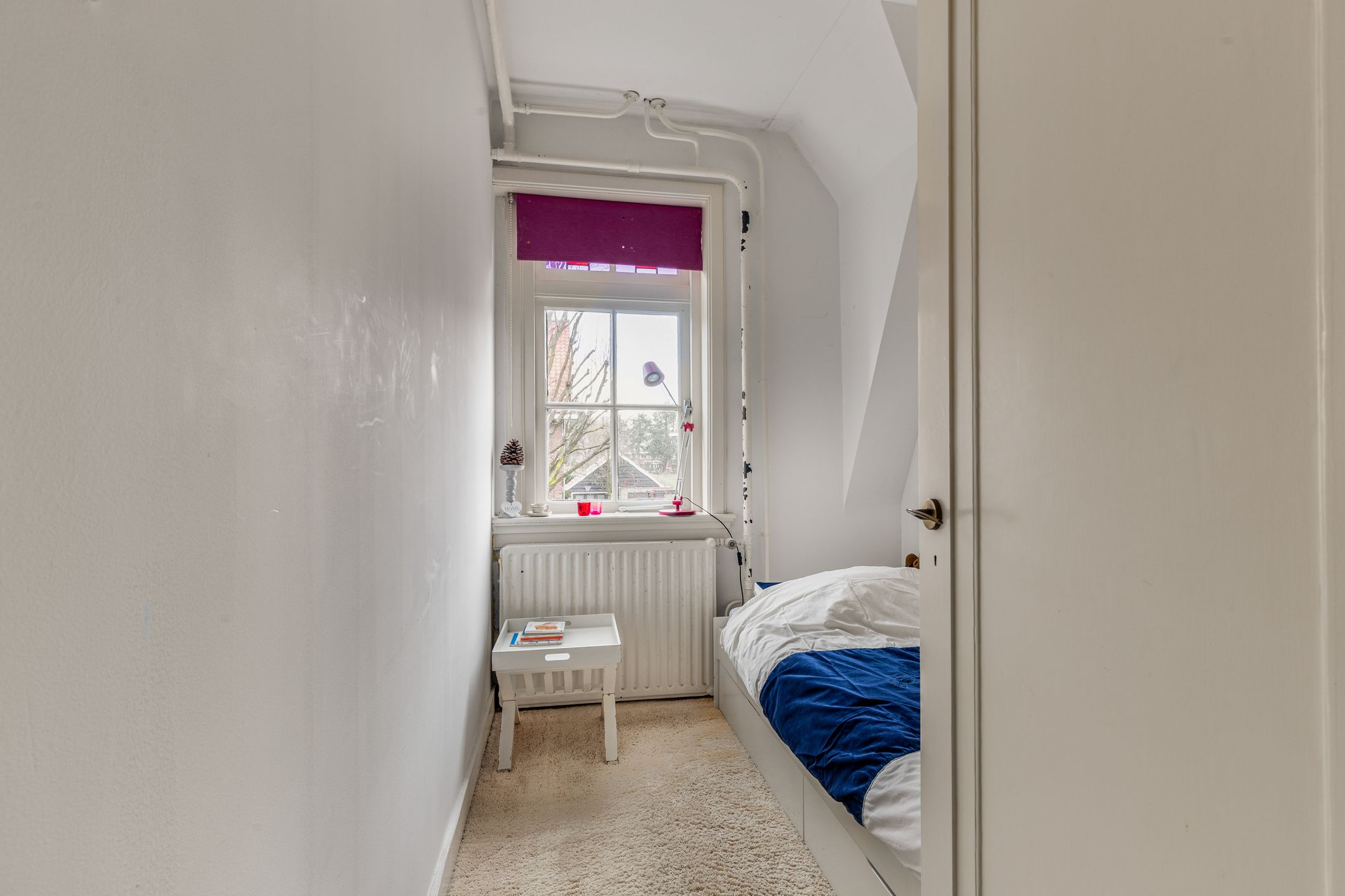 Foto 39 van Prins Mauritslaan 106