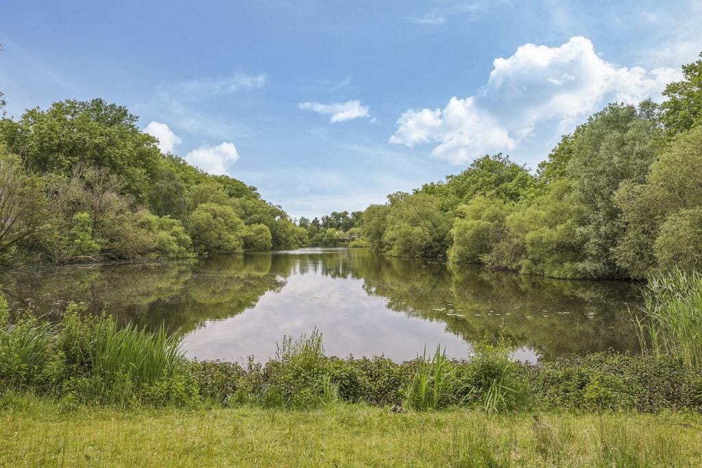 Foto 4 van de Jongstraat 6-06