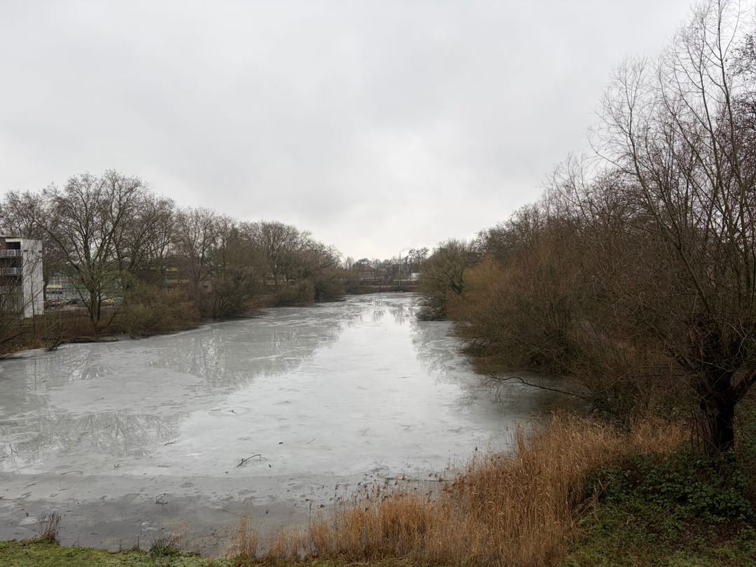 Foto 23 van de Jongstraat 6-06