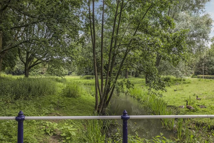 Foto 43 van de Jongstraat 6-06