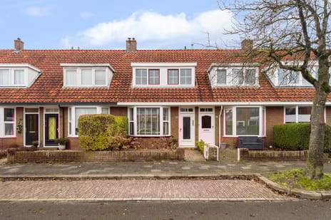 d'Hondecoeterstraat thumbnail