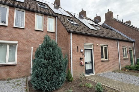 undefined main image