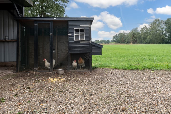 Foto 37 van Edeseweg 34