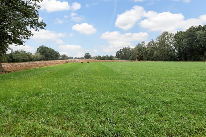 Foto 38 van Edeseweg 34