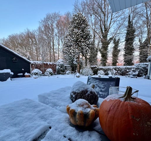 Foto 41 van De Weidedijk 36