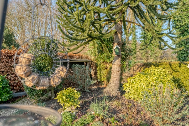 Foto 45 van De Weidedijk 36