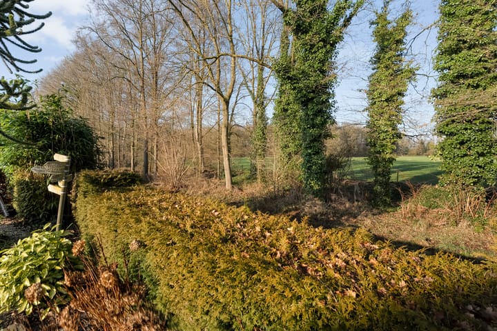 Foto 47 van De Weidedijk 36