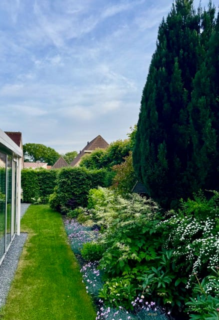 Foto 50 van De Weidedijk 36