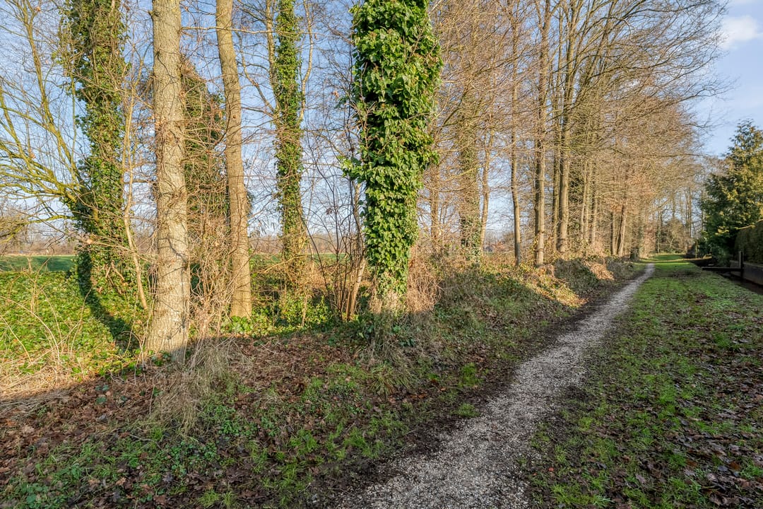 Photo 62 of De Weidedijk 36