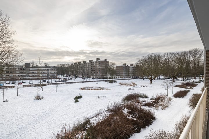 Foto 18 van Cornelis Bloemaertsingel 14