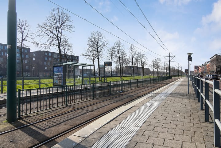 Foto 38 van Scholekstersingel 2