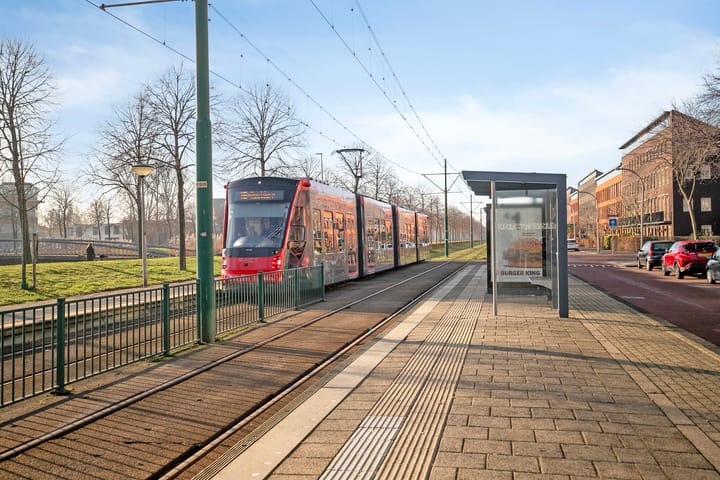 Foto 39 van Scholekstersingel 2