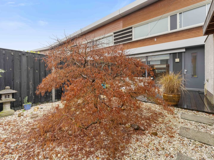 Foto 13 van Catharinaplaatjes 26