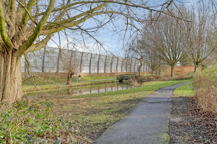 Foto 31 van Cort van der Lindenlaan 28