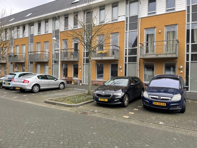 Foto 2 van Arabische Zee 6