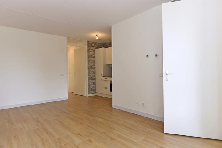 Foto 4 van Arabische Zee 6