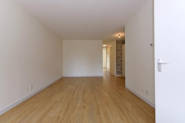 Foto 3 van Arabische Zee 6