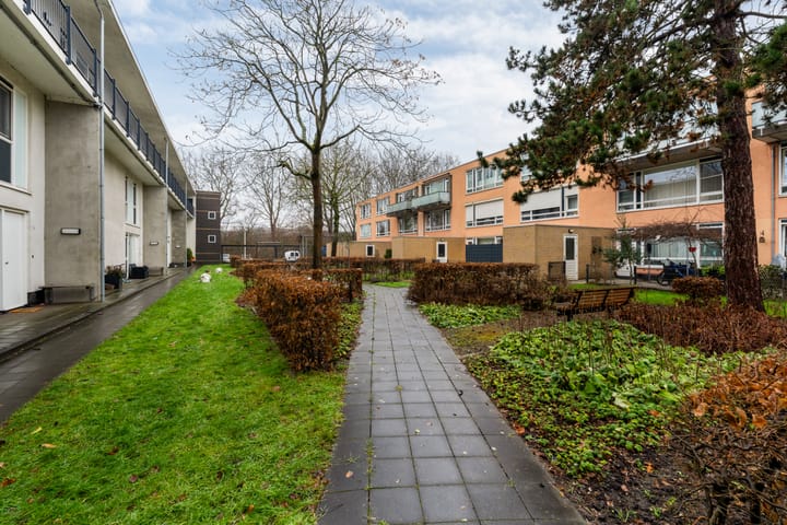 Foto 45 van Strijpesingel 28