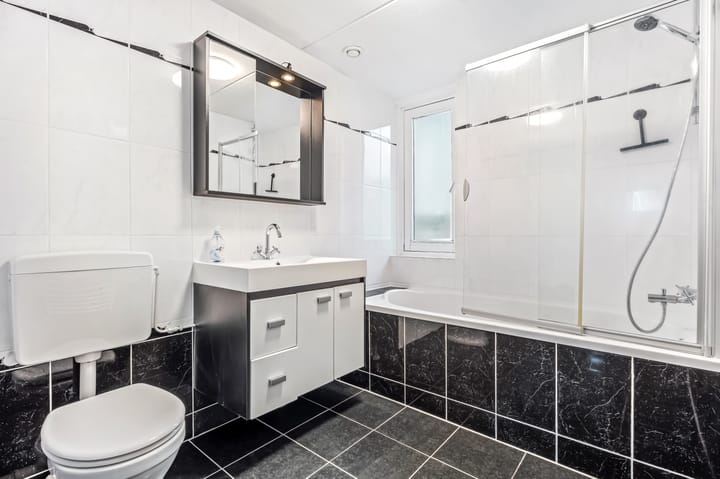 Photo 19 of De Witte Zwaan 42