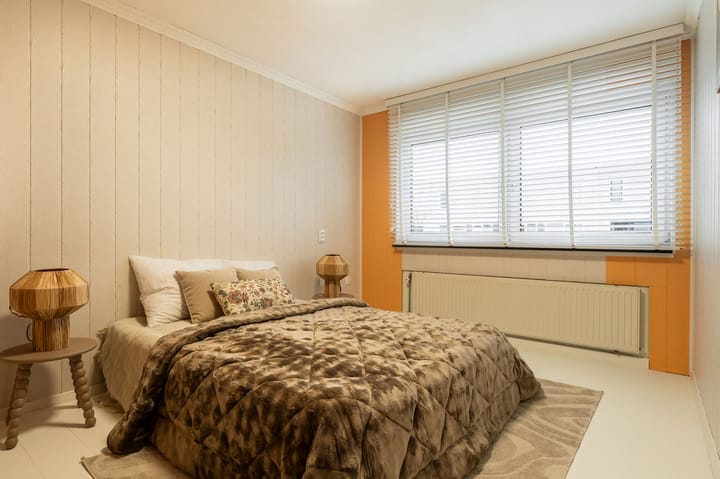 Foto 18 van Tapirstraat 8