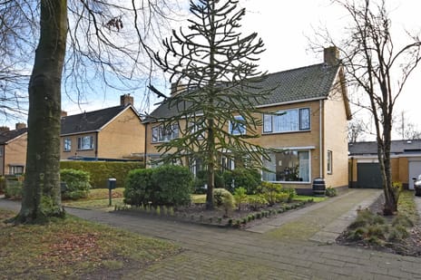 Dokter B. Hornstrasingel thumbnail