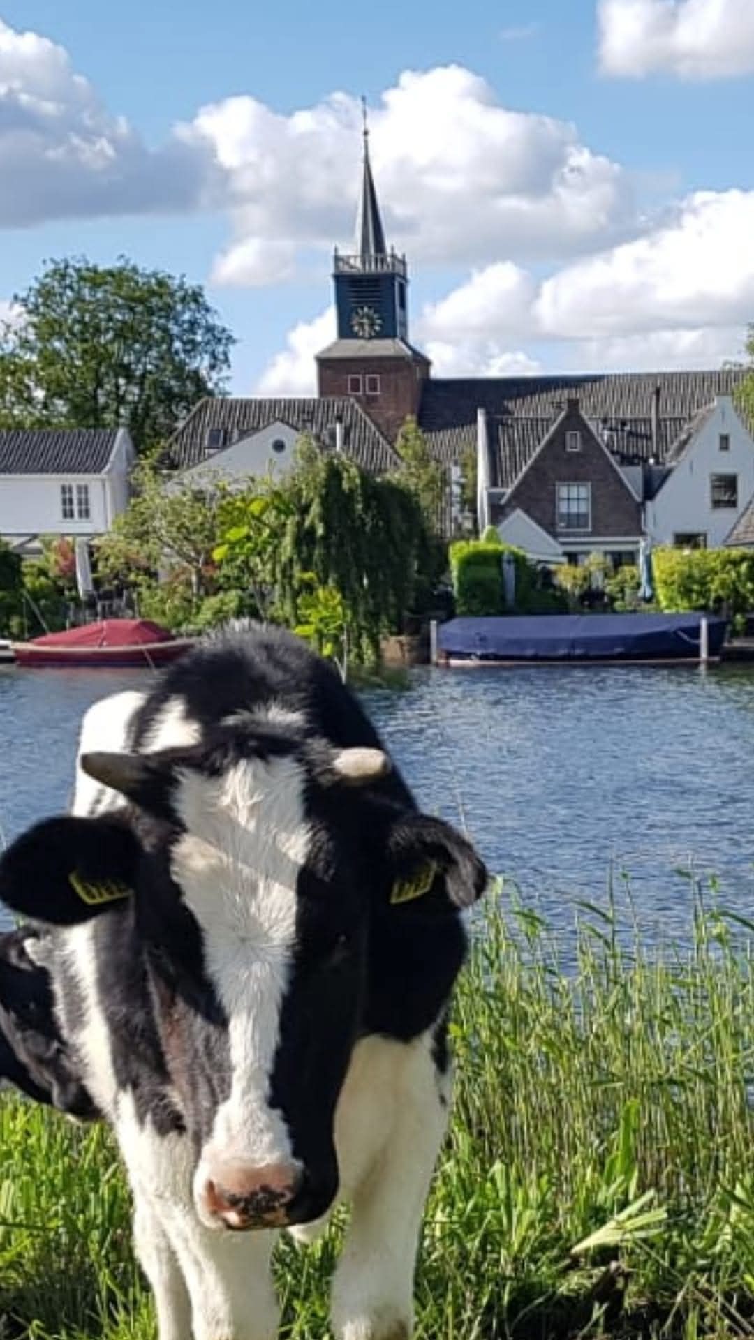 Foto 74 van Dorpsstraat 53