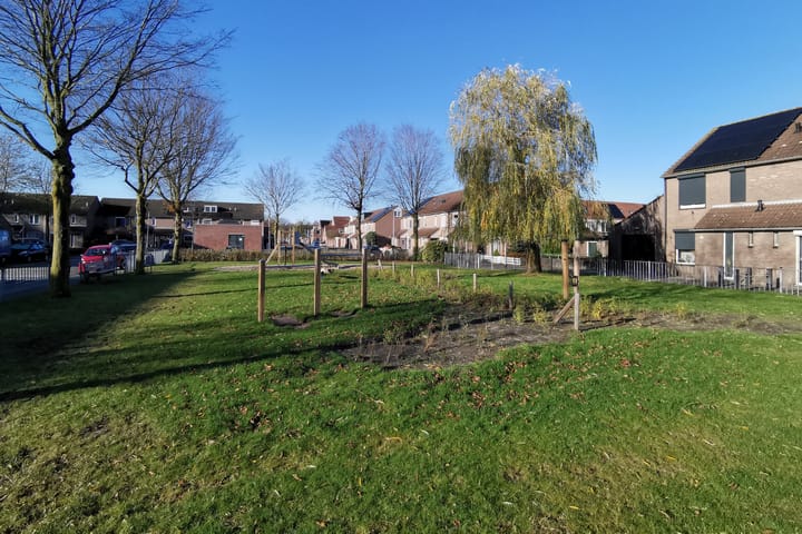 Foto 43 van Driebergenstraat 9