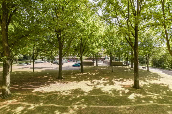 Foto 23 van Langswater 141